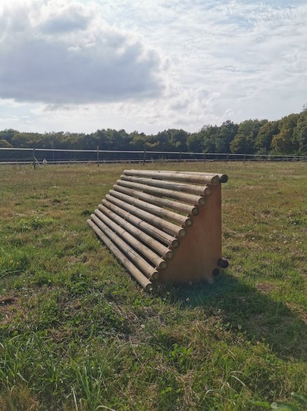 Écuries du Château de Torcy - photo 2