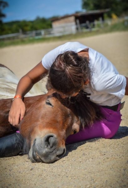 Ecurie Farfallino - photo 2