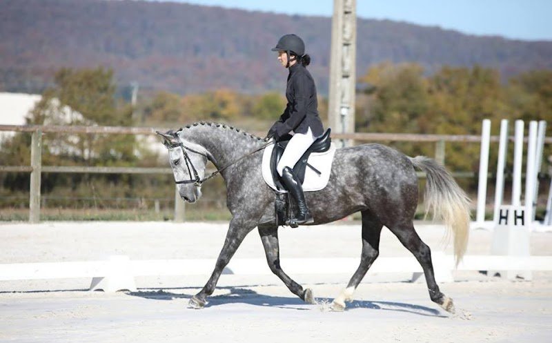 Écuries Julie Rolle - Franche Comté Equi'Passion - photo 2