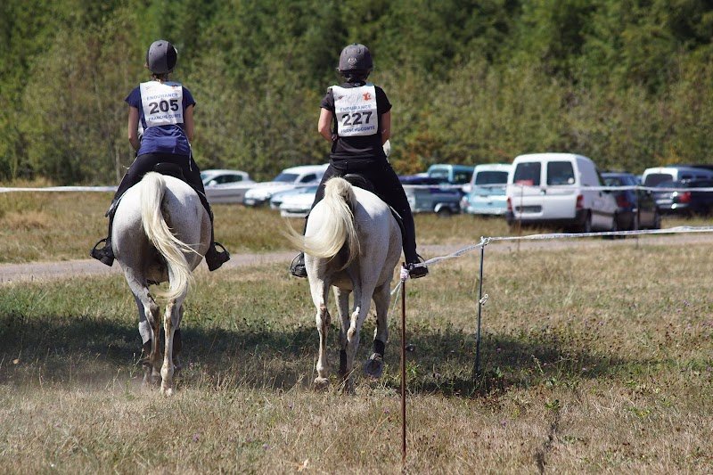 Écuries Julie Rolle - Franche Comté Equi'Passion - photo 3