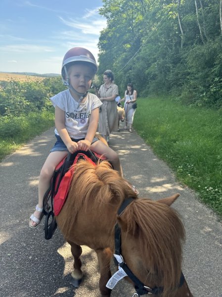 Domaine équestre du Treuil - photo 2