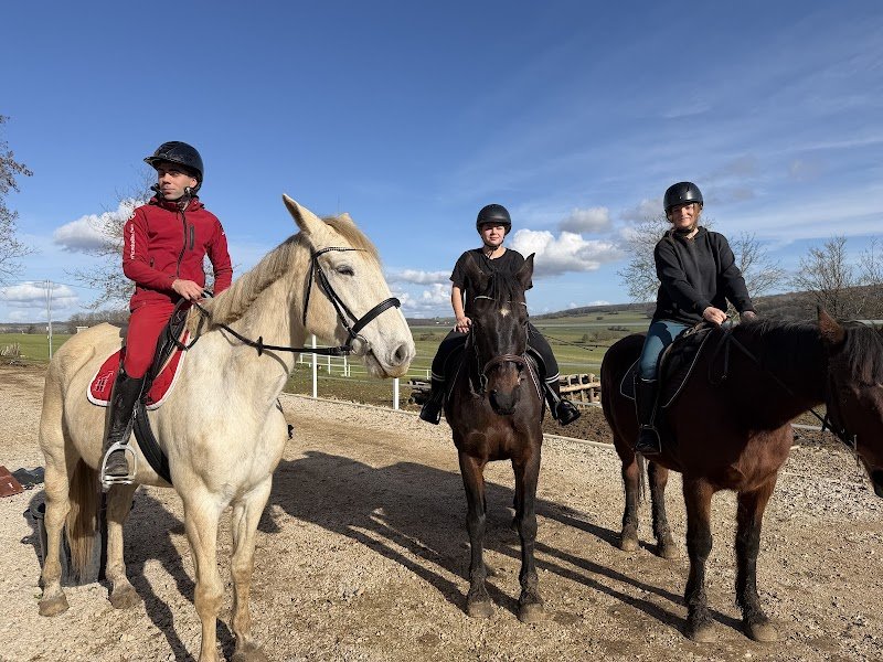 Domaine équestre du Treuil - photo 3