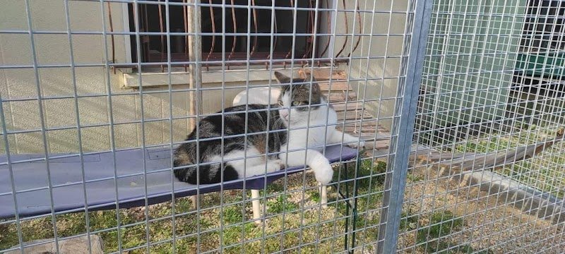 La pension de Manon - photo 3