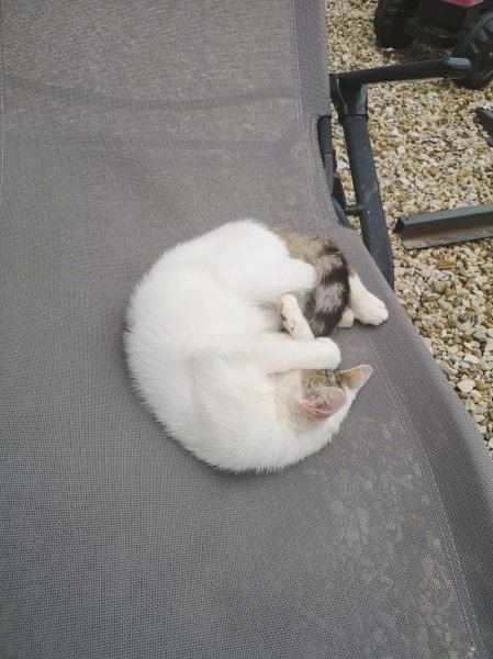 Pension De Corcelotte - photo 2