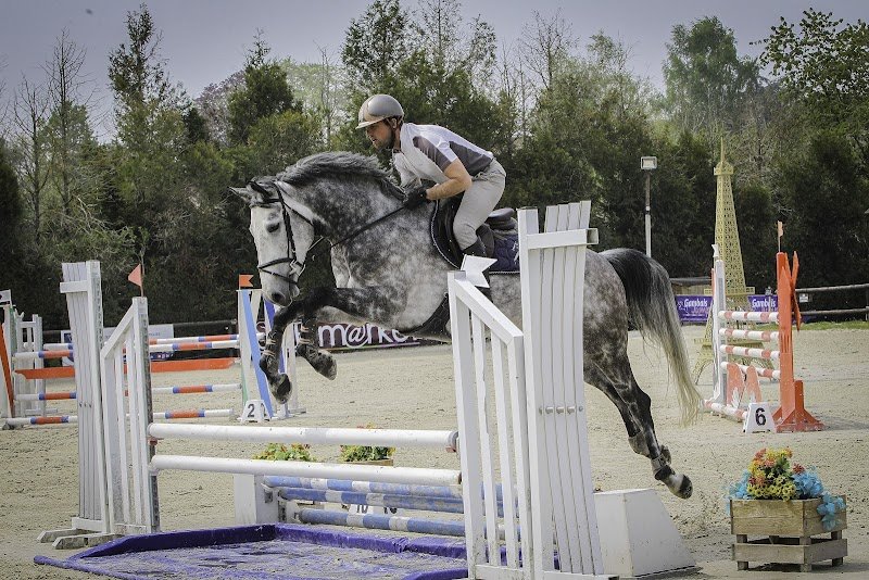 Ecuries de la Ronce - Pension Valorisation Chevaux de Sport - photo 2