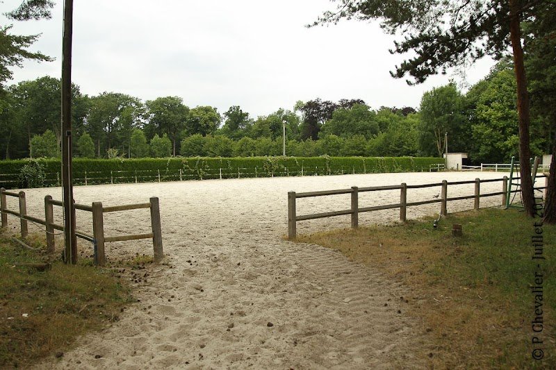 Ecuries de la Ronce - Pension Valorisation Chevaux de Sport - photo 3