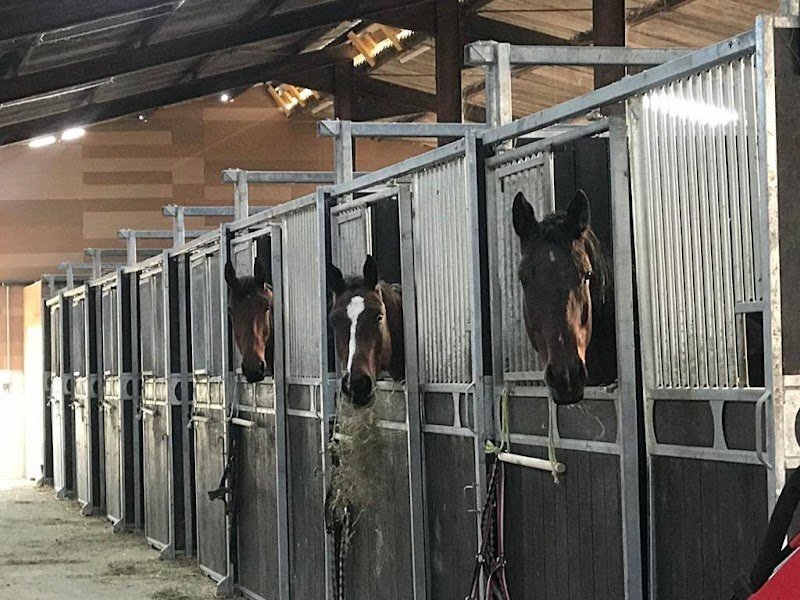 Ecuries L&A - photo 1