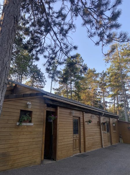 Escapade à cheval - photo 1