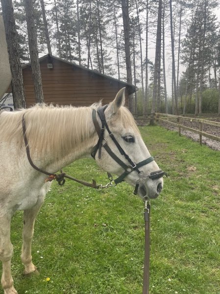Escapade à cheval - photo 2