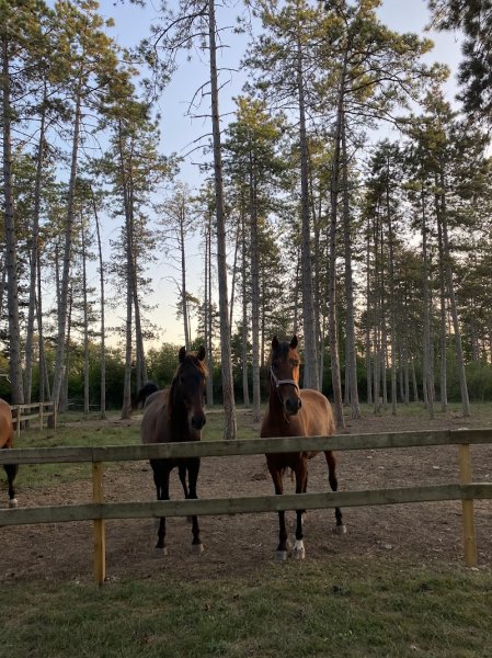 Escapade à cheval - photo 3