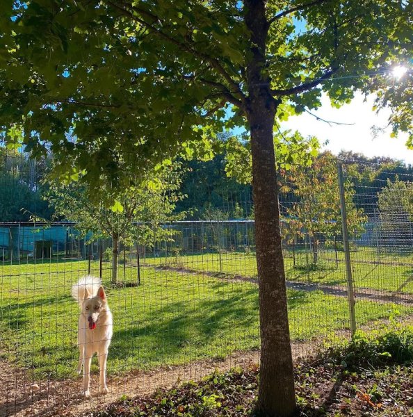 La Pension des Noyers