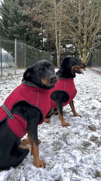 La Pension des Noyers - photo 2