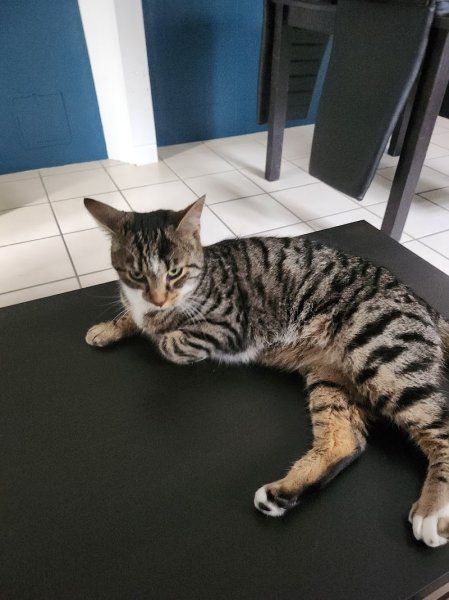 La Pension des Noyers - photo 3