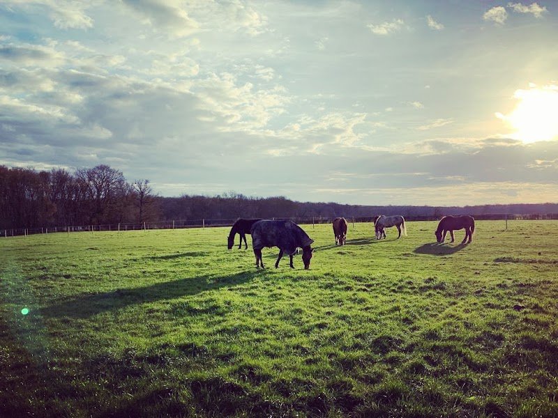 Écuries de l'arceau - photo 3