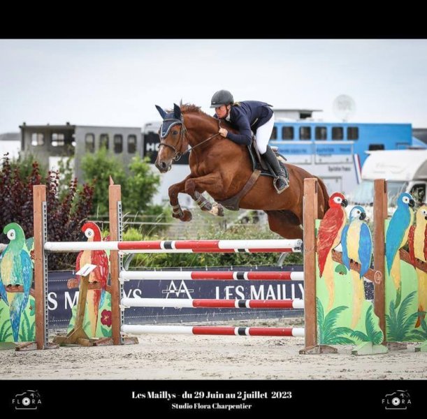 Ecurie Gwendoline Lefebvre - photo 1