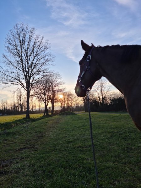 Ecurie Gwendoline Lefebvre - photo 2