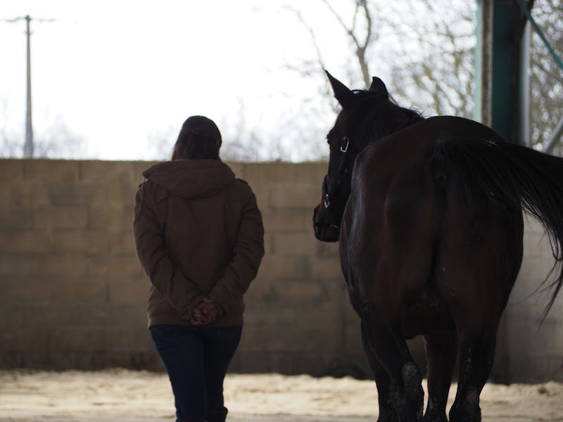 Les Ecuries de Messey - photo 1