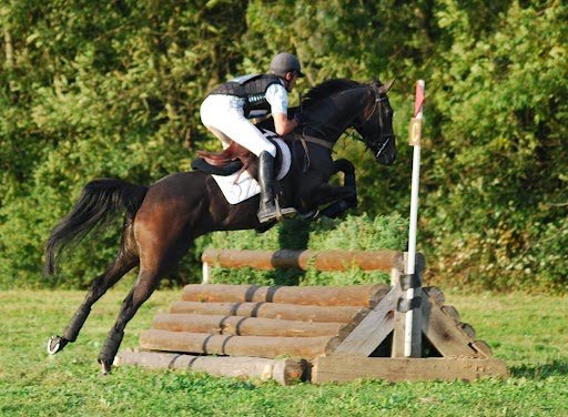 Les Ecuries de Messey - photo 2