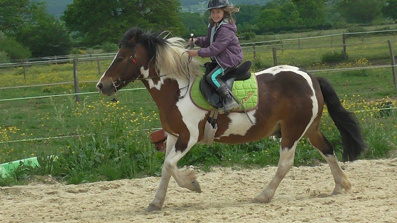 Les Ecuries de Messey - photo 3