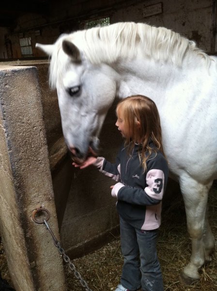 Écuries du Pommier d'Argent (SARL) - photo 1