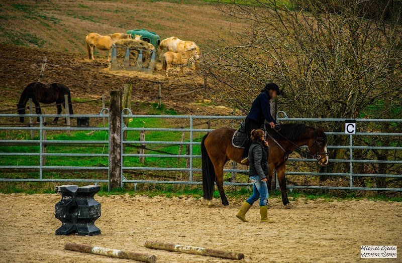 LES ECURIES D'ARMANI