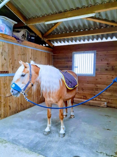 Les écuries Baralbines - photo 1