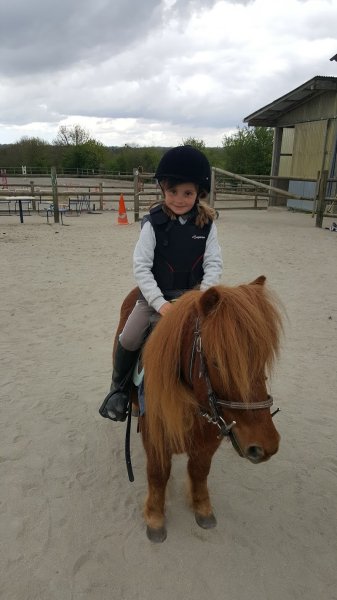 Gîtes dans ferme equestre - photo 3