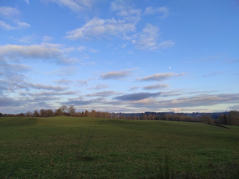 ECURIES DE BELLEFOND - photo 1