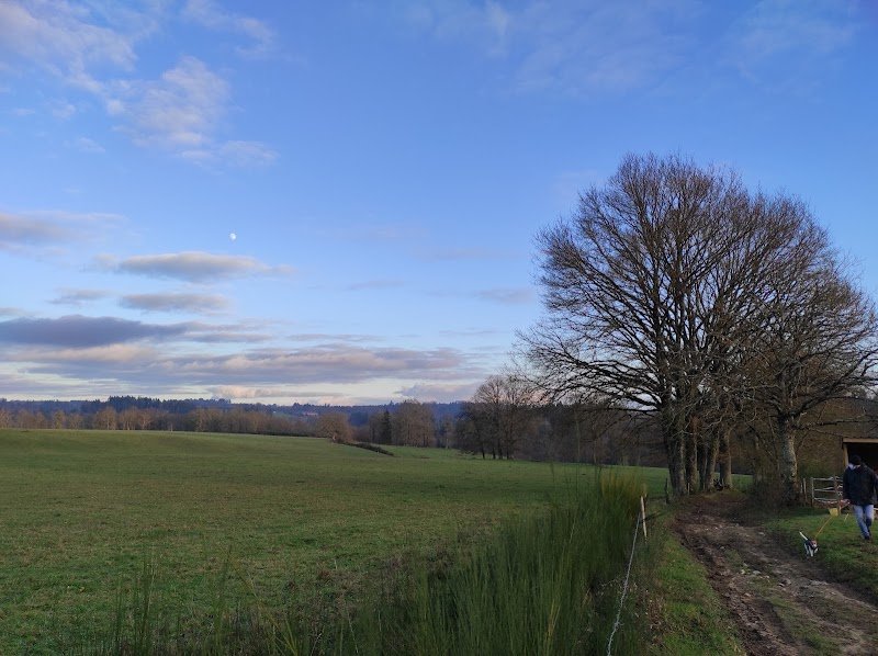 ECURIES DE BELLEFOND - photo 2