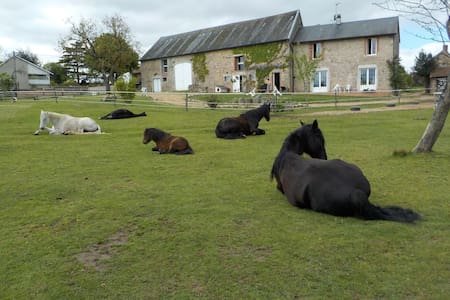 Petite chambre aux portes du Morvan - Les Isabaux - Randonnée Equestre - DUBAU Isabelle