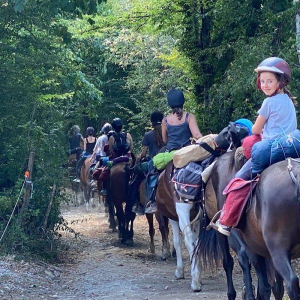 Les Écuries De La Croix Des Bois