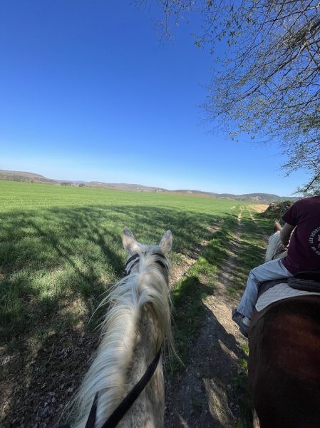 Les Écuries De La Croix Des Bois - photo 2