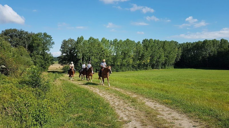 Ecurie de la Chiffogne - photo 3