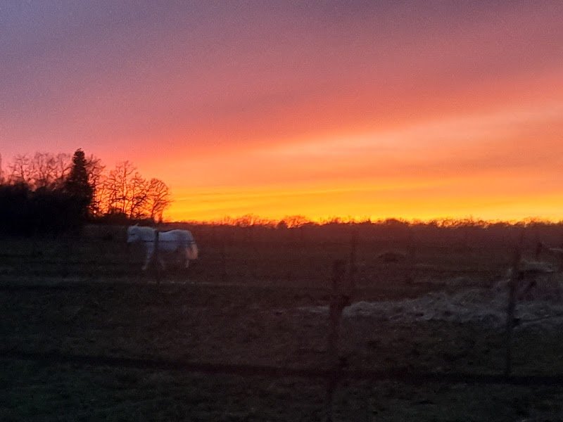 Ecurie de Rimatou - photo 3