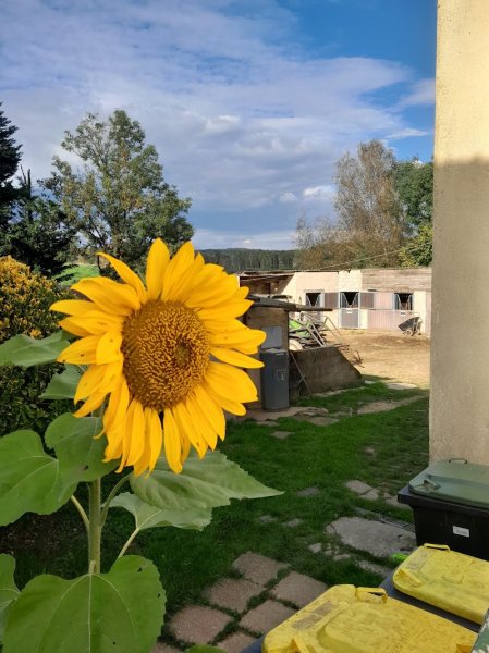 Ecurie E. BROUTIN - photo 1