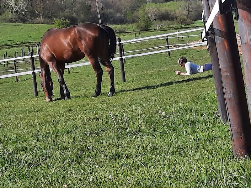 Ecurie E. BROUTIN - photo 3