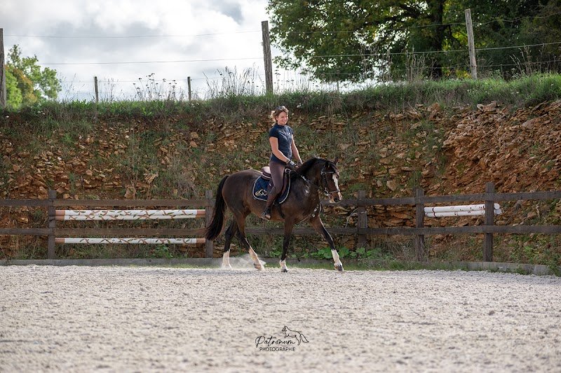 ECURIE DU PELIN - photo 2