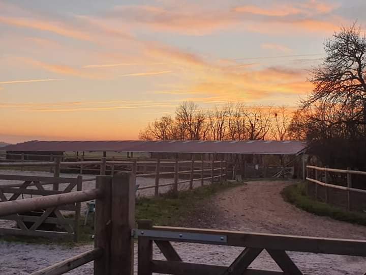 Haras P'Ti Royal - photo 3