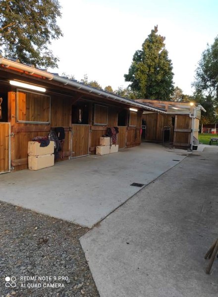 Les Écuries des Saules - photo 3