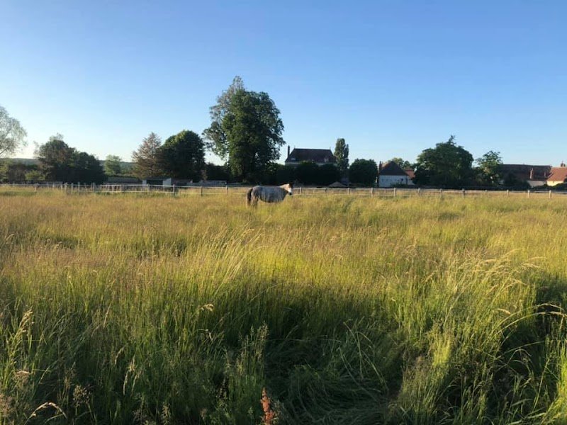 Les Ecuries d'Elixir - photo 2