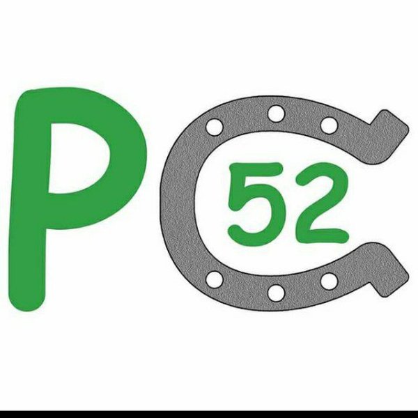 Pension chevaux 52 - photo 3