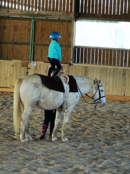 ecurieterranaise - photo 1