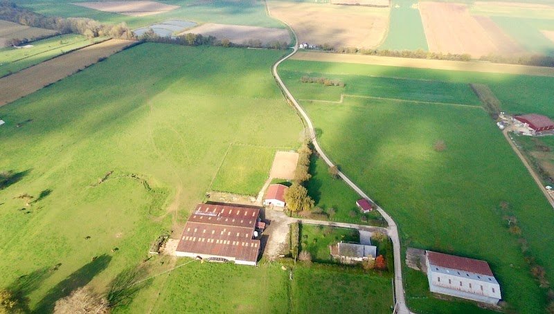 les chevaux des tareillots