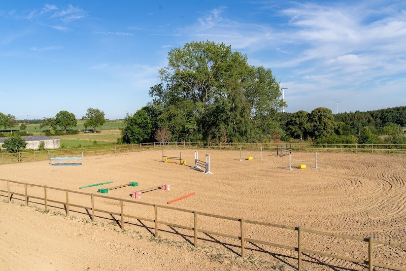 Haras d'As Sàrl - photo 1