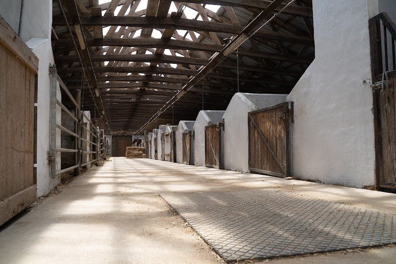 Haras d'As Sàrl - photo 2