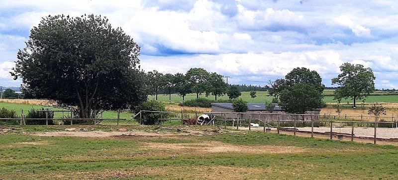 Haras d'As Sàrl - photo 3