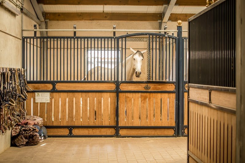 Centre Equestre Les Ecuries - photo 2