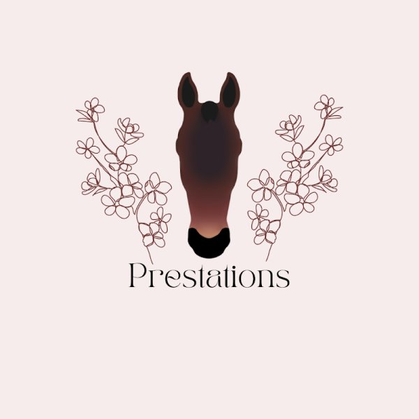 Écurie Active Domaine de Merise