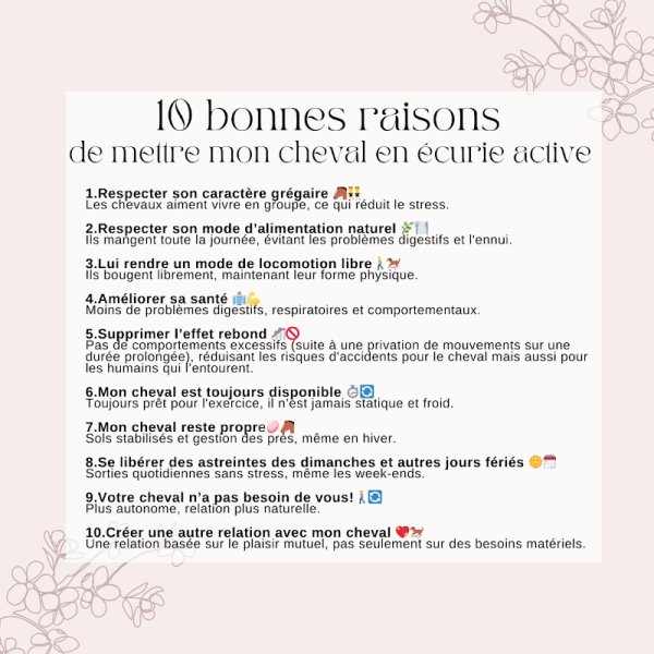 Écurie Active Domaine de Merise - photo 3