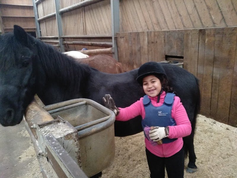 Centre Équestre du Frais Puits - photo 1